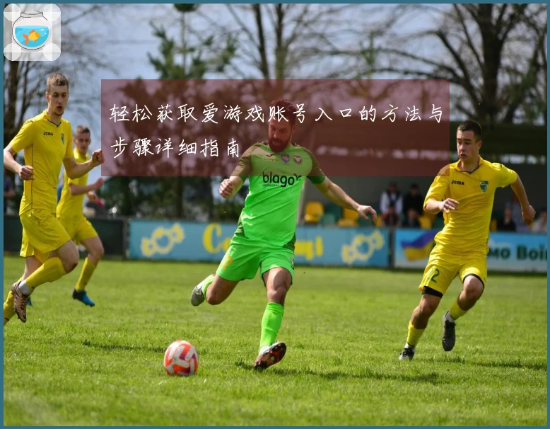 轻松获取爱游戏账号入口的方法与步骤详细指南