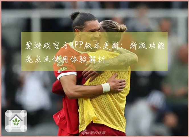 爱游戏官方APP版本更新：新版功能亮点及使用体验解析